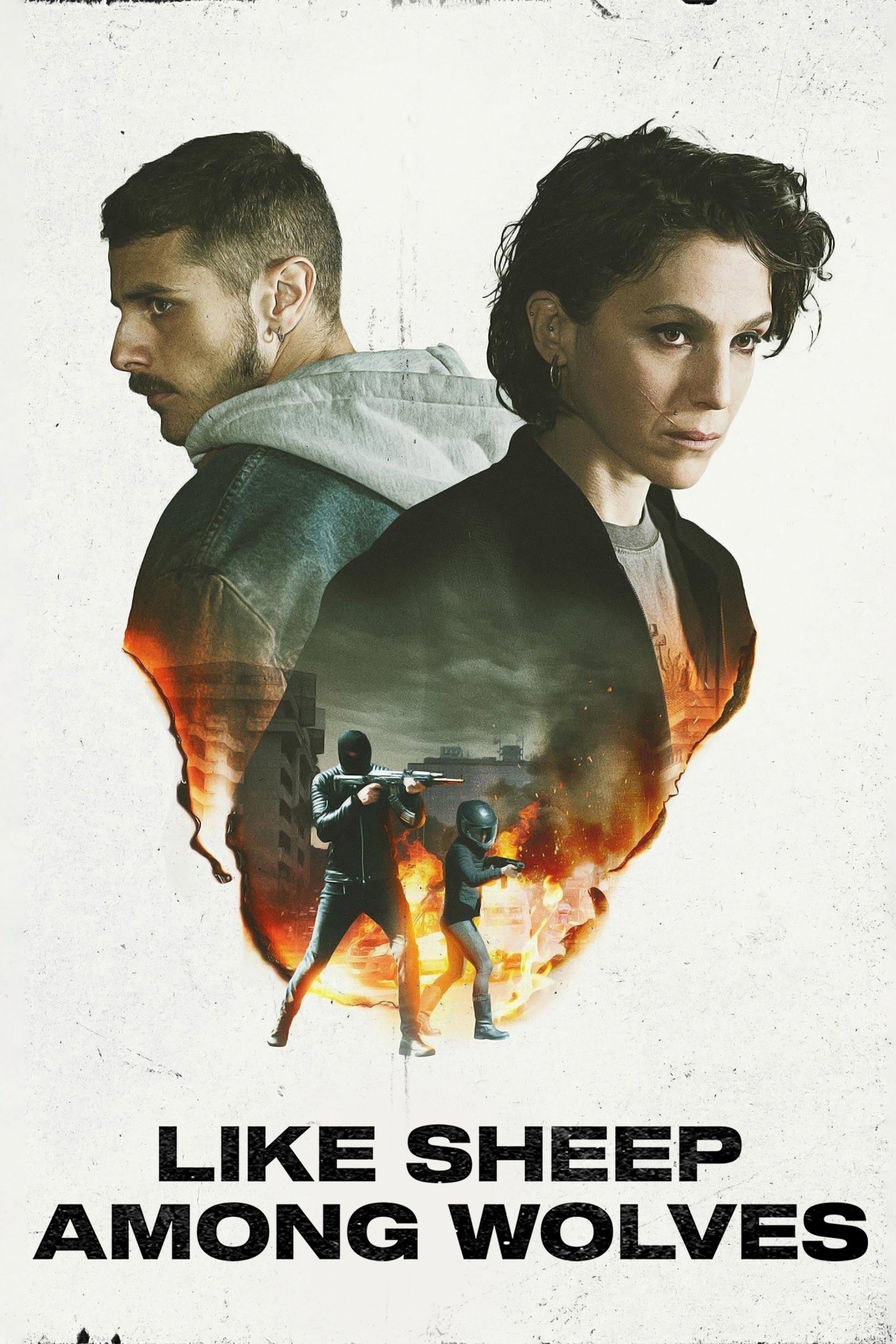 Qurdlar Arasında Qoyun kimi