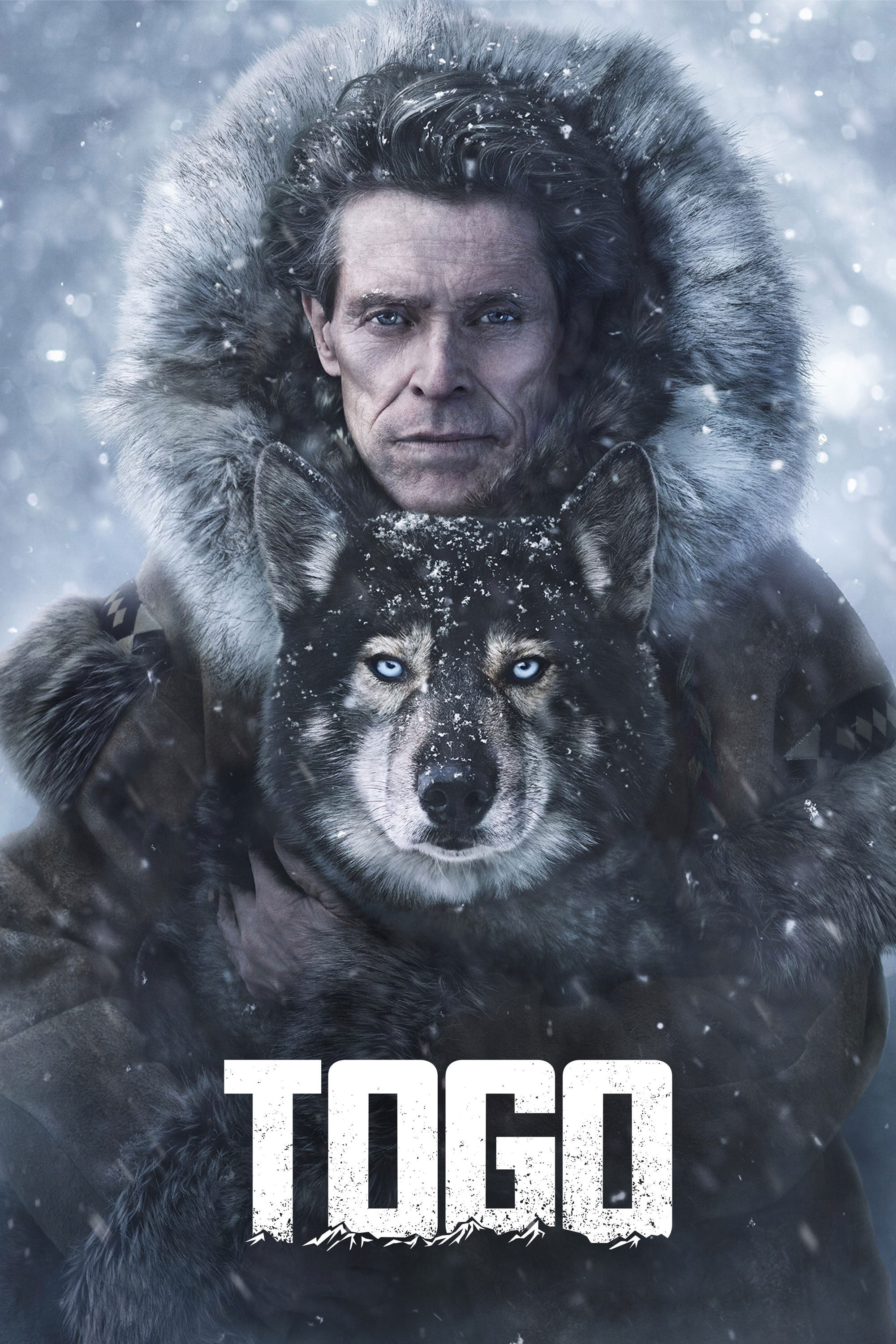 Toqo