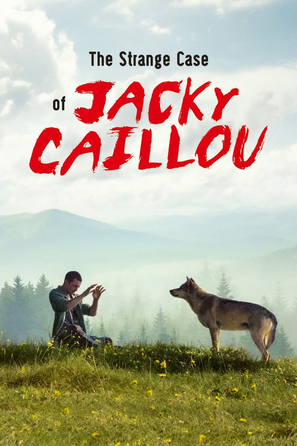 Jacky Caillounun Qəribə Davası